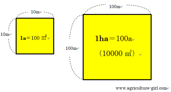 農業で使われる面積の単位とは 実際の農家はどのくらいの規模